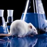 24η Απριλίου Παγκόσμια ημέρα κατά της χρήσης ζώων σε πειράματα